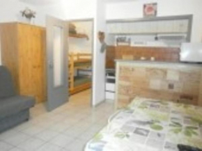 Appartement Saint-Lary-Soulan, 1 pièce, 4 personnes - FR-1-457-236